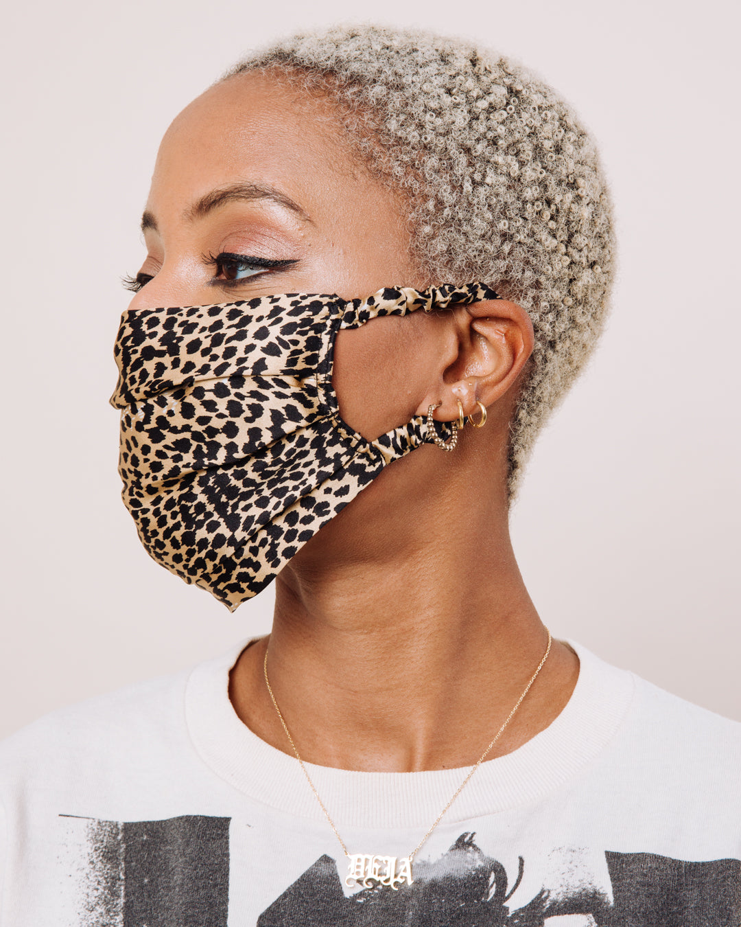 Fox on the Run - Mask